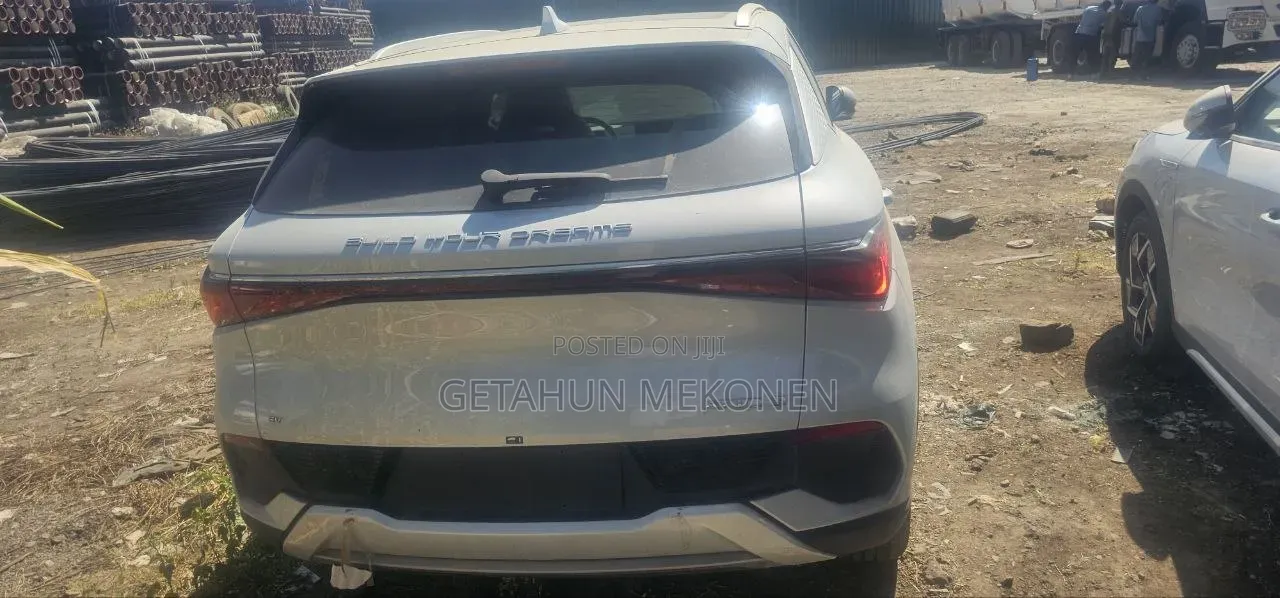 New BYD Yuan Plus 2025 Silver
