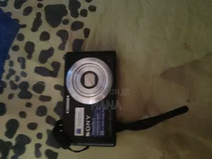 Sony Brand Camera