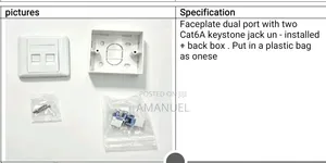 Wall Outlet CAT6A Dual Port