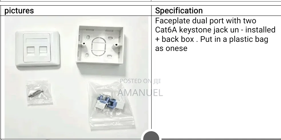 Wall Outlet CAT6A Dual Port