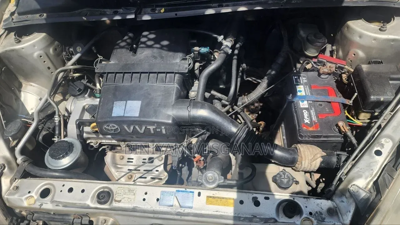 Toyota Vitz 2004 Gold