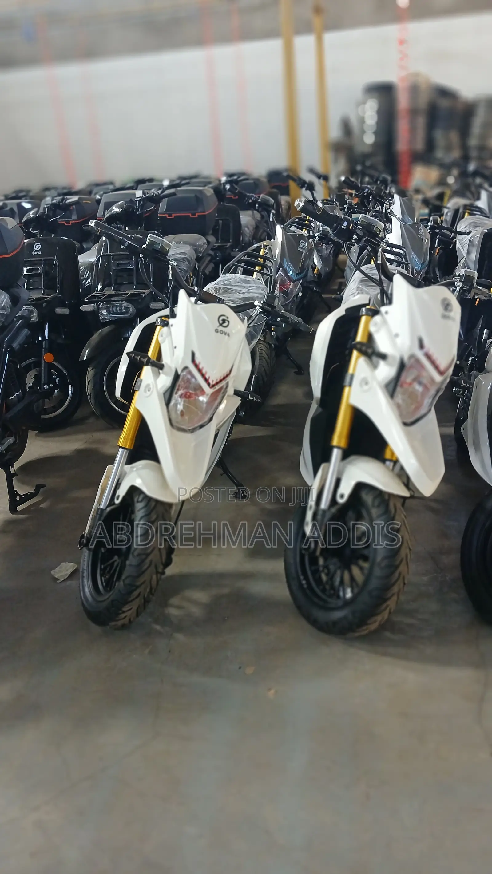 New TVS 2026 White