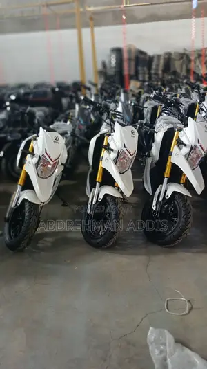 New TVS 2026 White