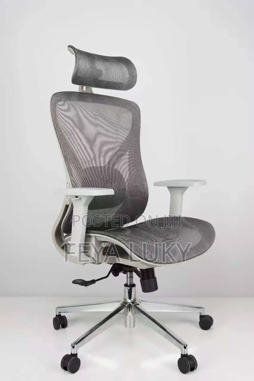 Ful Mesh Ergonomic