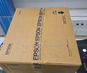 EpsonProjector