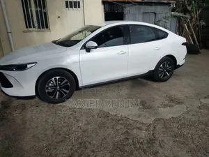 Byd Qin Plus Hybrid Rent