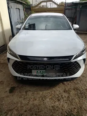 Byd Qin Plus Hybrid Rent