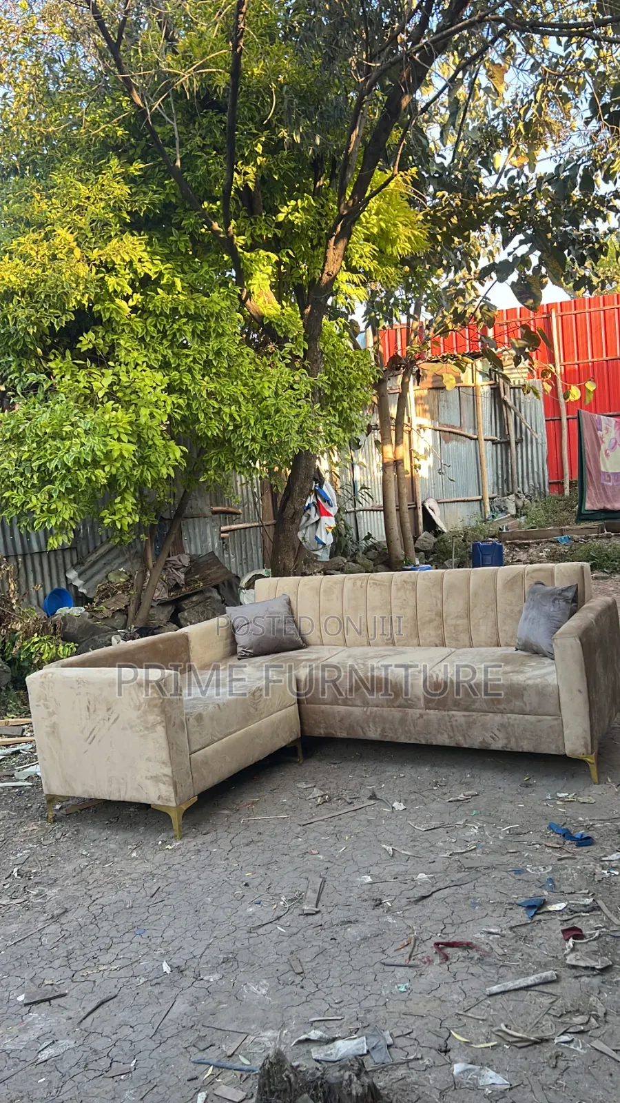Beautiful Sofa