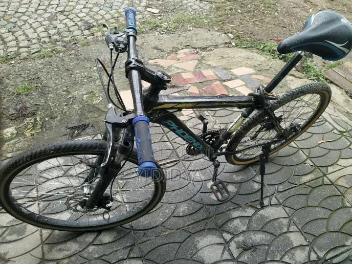 Phoenix Bicycle