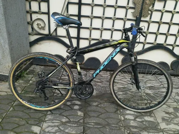 Phoenix Bicycle