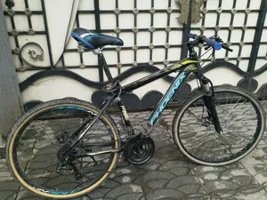 Phoenix Bicycle