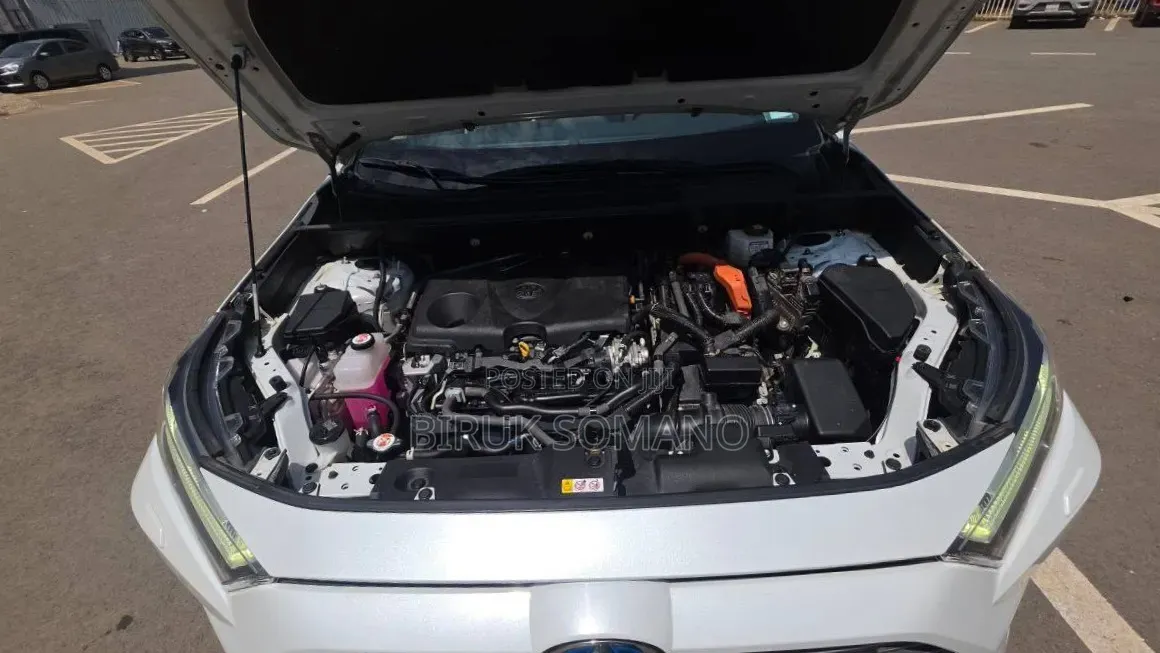 Toyota RAV4 2023 Off white