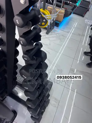 ዘመናዊ የዳምቤል መደርደሪያ ከሙሉ የዳምቤል ስብስብ ጋር / Vertical Dumbbell Rack With Set