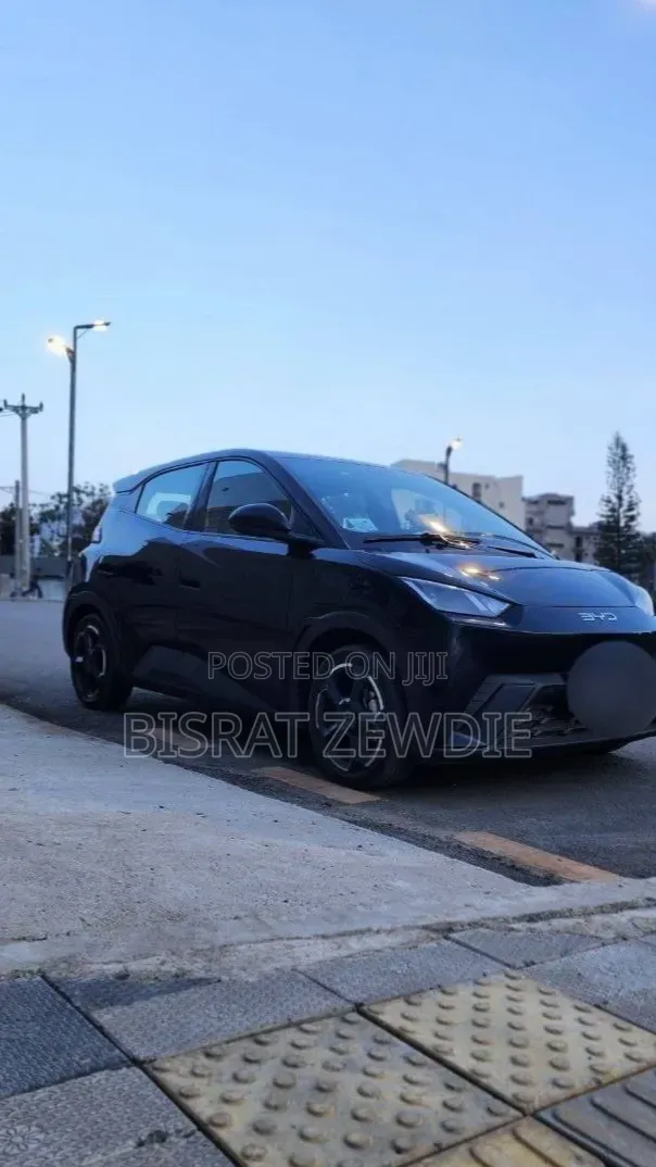 BYD Seagull 2024 Black
