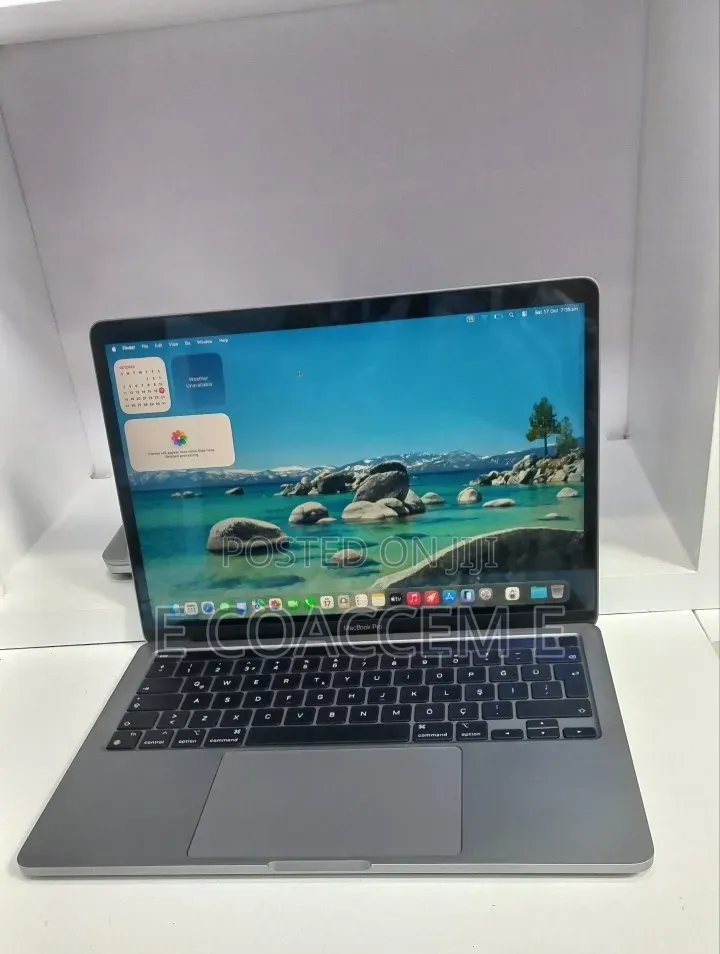 New Laptop Apple MacBook Pro 2021 M1 8GB Apple M1 SSD 256GB