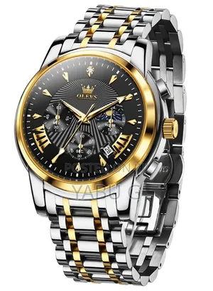 OLEVS Luminous Multifunctional Male Gift Top Quality Watch