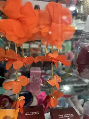 Earrings Jewelry