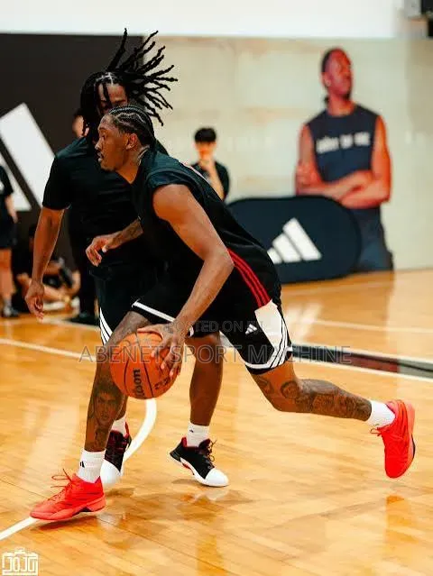 Adidss Pro Basketball