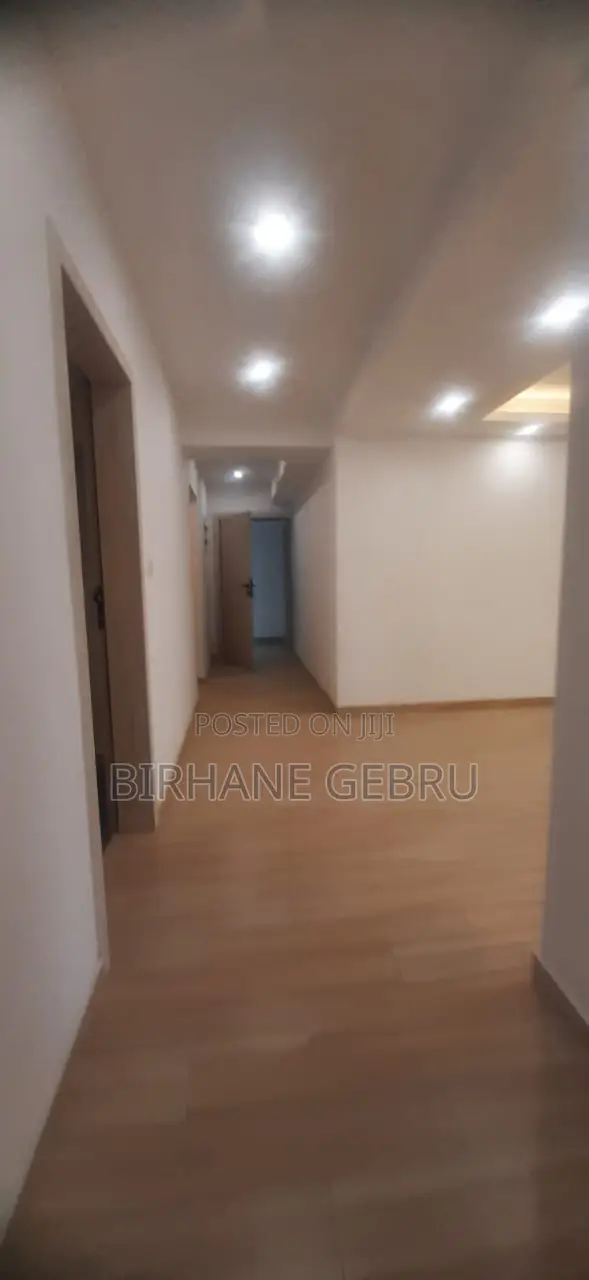 2bdrm Apartment in Luxury Aparthment, Kirkos for rent