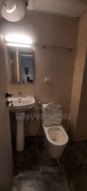 2bdrm Apartment in Luxury Aparthment, Kirkos for rent