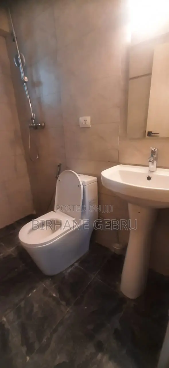 2bdrm Apartment in Luxury Aparthment, Kirkos for rent