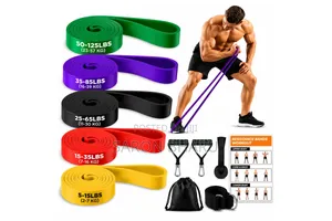 4in1 Fitness Resistance Bands