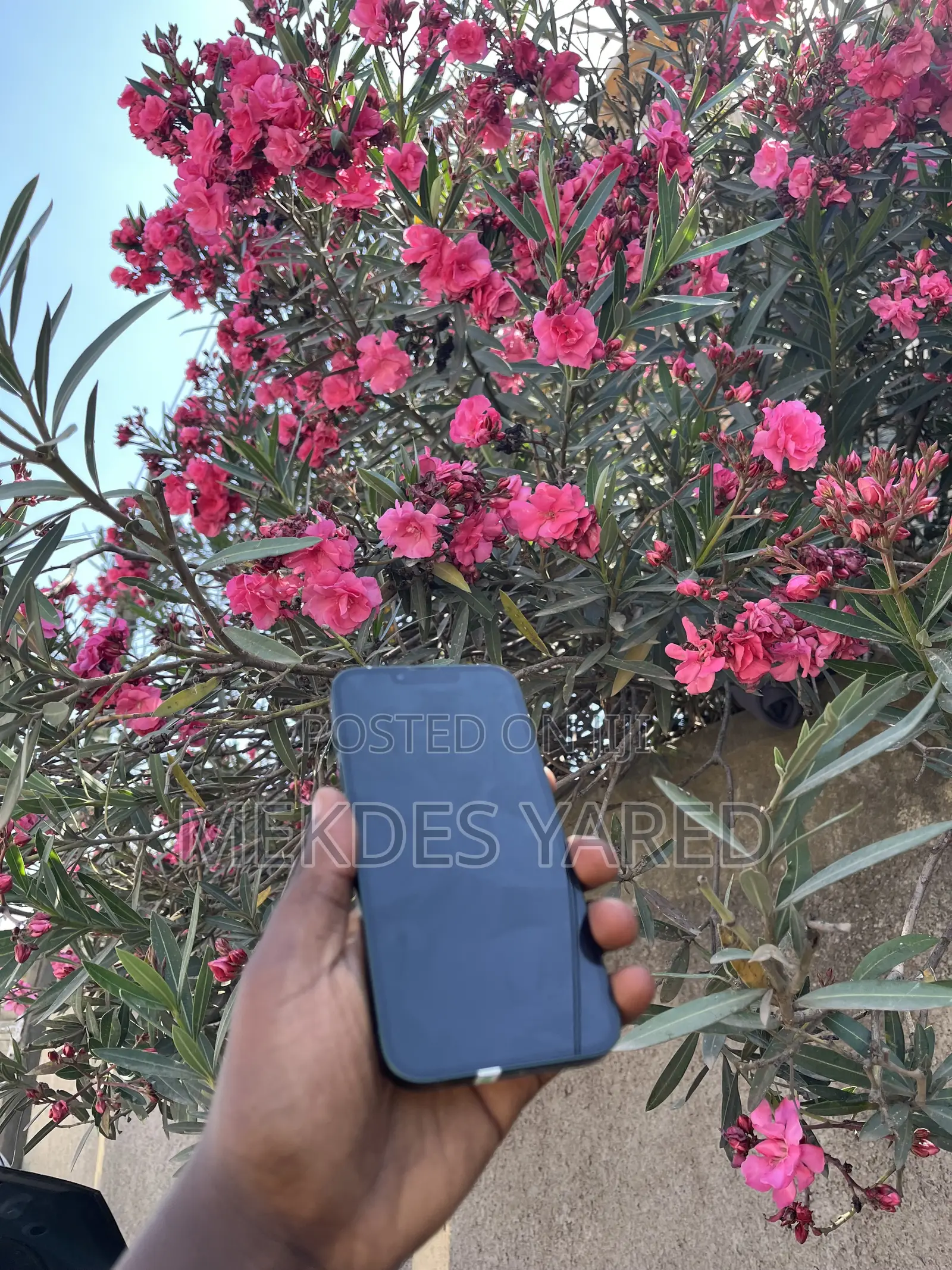 New Apple iPhone 12 128 GB Blue