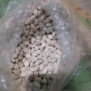 Moringa Seed