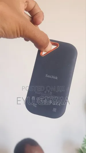 SanDisk Extreme Pro 4TB