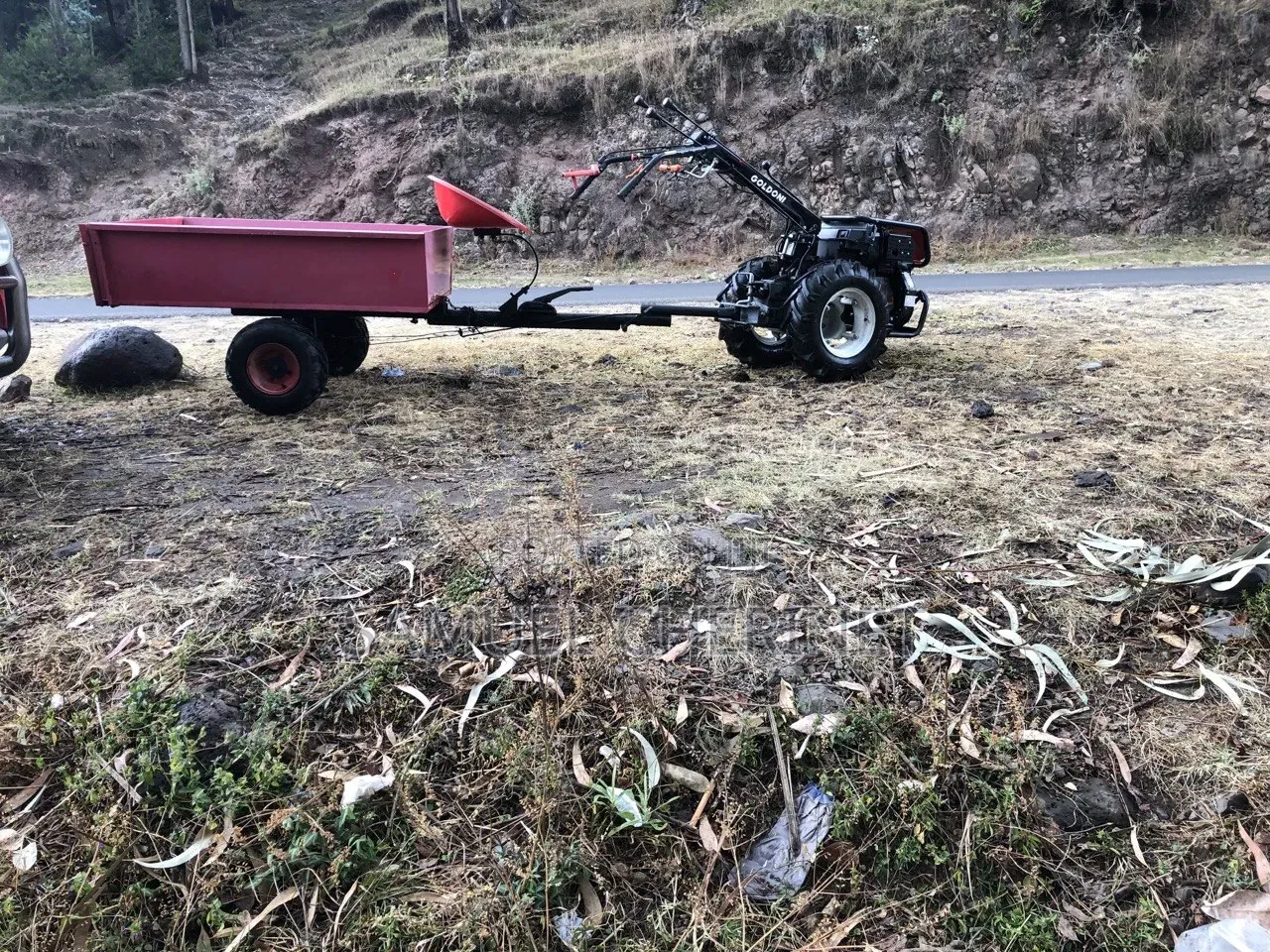 2 Wheel Tractor Goldoni ( Made in Italy )