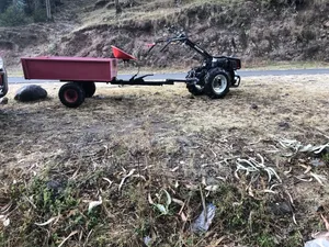 2 Wheel Tractor Goldoni ( Made in Italy )