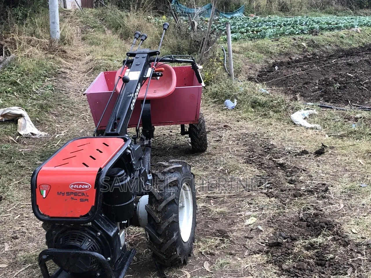 2 Wheel Tractor Goldoni ( Made in Italy )