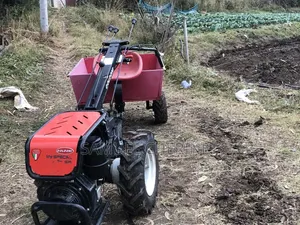 2 Wheel Tractor Goldoni ( Made in Italy )