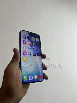 Apple iPhone 15 Pro Max 256 GB Black
