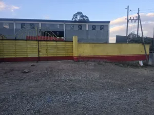 አስቸካይ የሚሸጥ መጋዘን