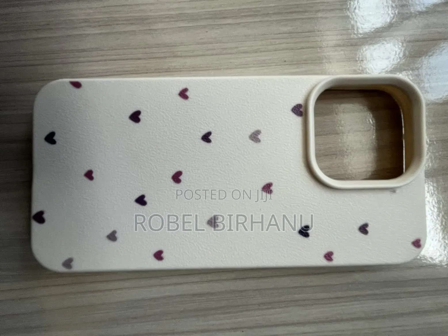 iPhone 13 Pro Cases