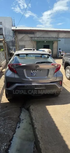 Toyota C-HR 2019 Gray