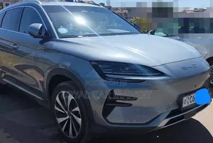 BYD Song Plus 2024 Gray