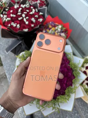 Apple iPhone 17 Pro Max 256 GB Orange