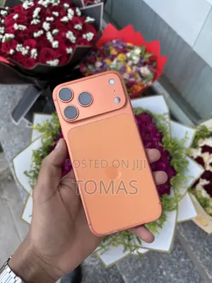 Apple iPhone 17 Pro Max 256 GB Orange