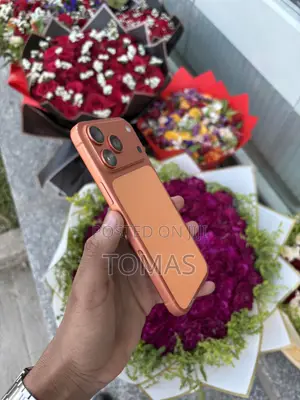 Apple iPhone 17 Pro Max 256 GB Orange