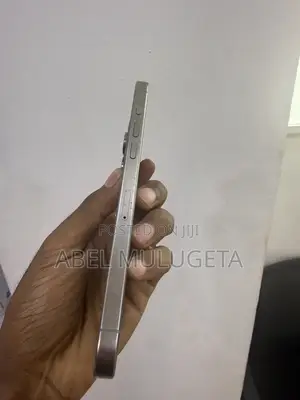 Apple iPhone 15 Pro Max 256 GB Silver