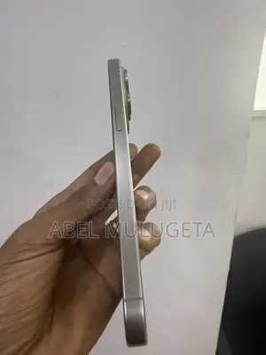 Apple iPhone 15 Pro Max 256 GB Silver
