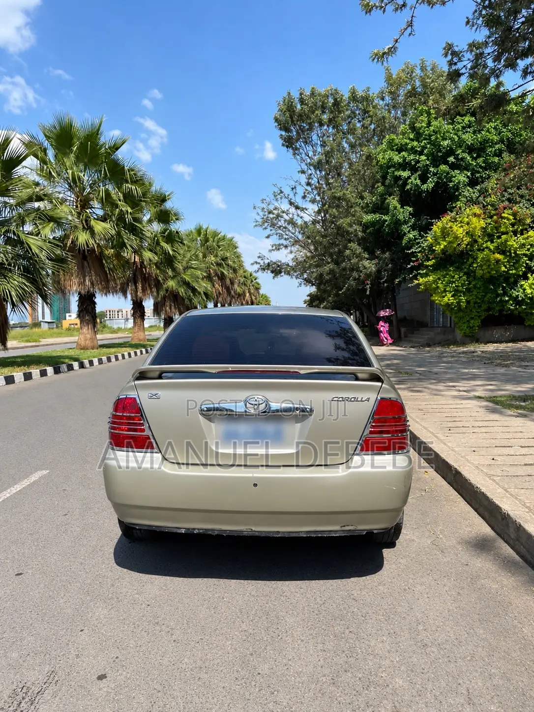 Toyota Corolla Sedan 2003 Gray