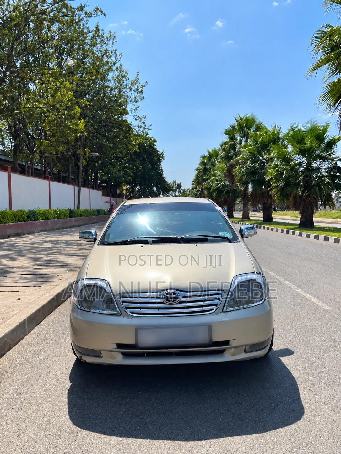 Toyota Corolla Sedan 2003 Gray