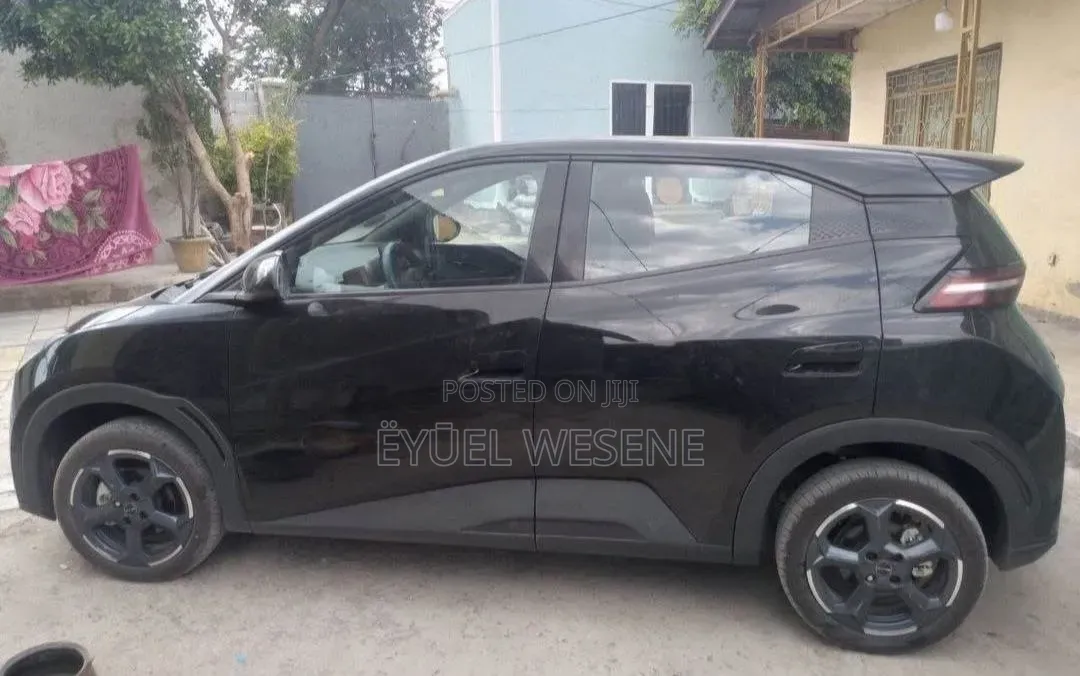 BYD Seagull 2025 Black
