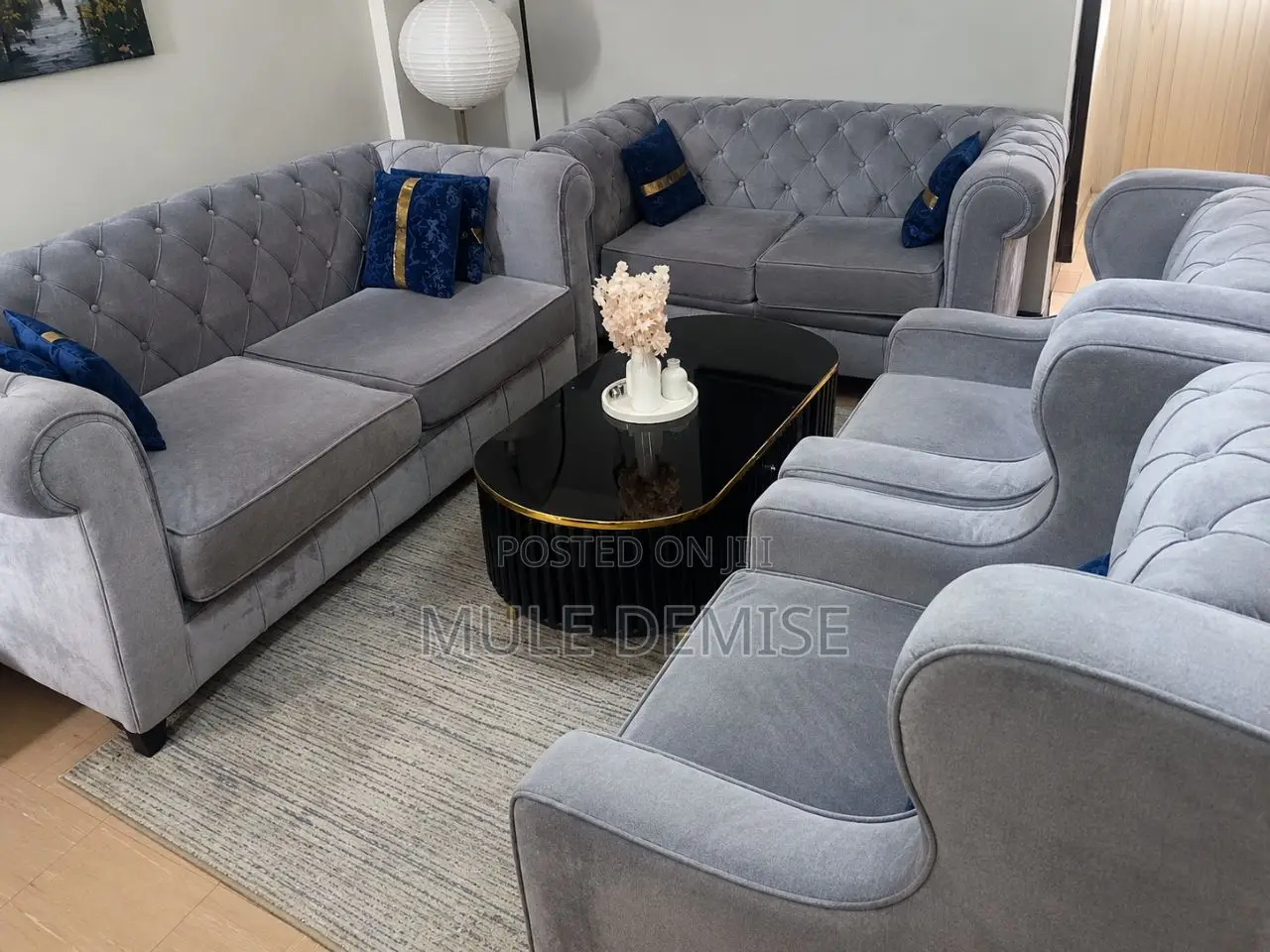 Gray Color Used Sofa