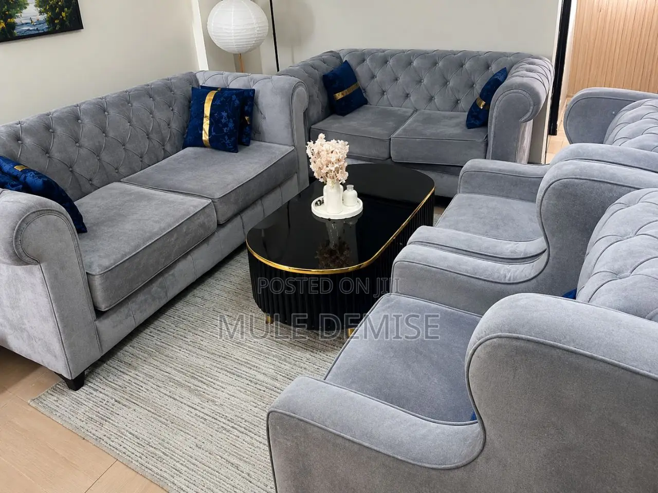 Gray Color Used Sofa