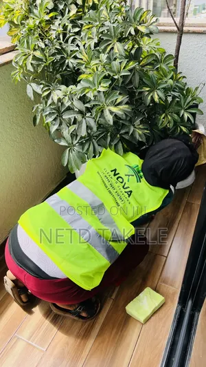 Deep Cleaning Service