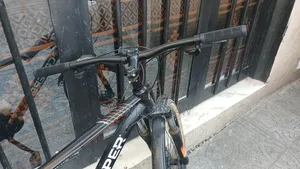 Creeper Bicycle